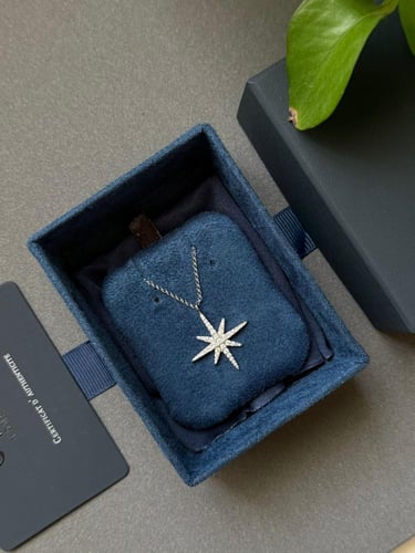 سلسال APM فضي