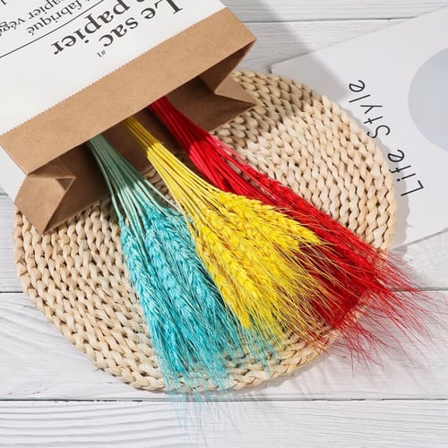 سنابل مجففة