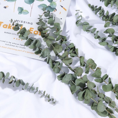 ورد طبيعي مجفف