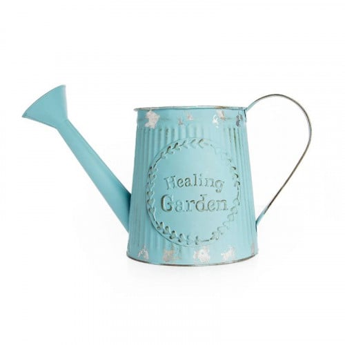 وعاء نبات حديد