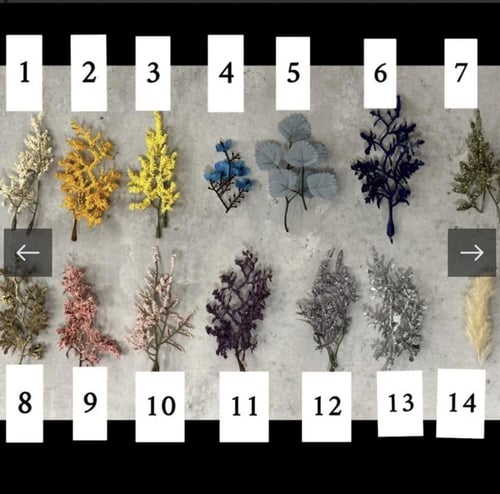 بكج بلوم (٣٤ ) ٤٨ حبة مع استاندين