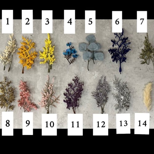 بكج بلوم ( 17 ) 48 حبة مع اللوقو