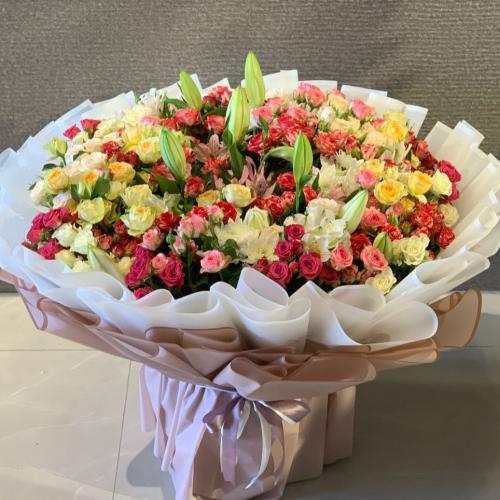 ورود مشكلة فاخرة RY059