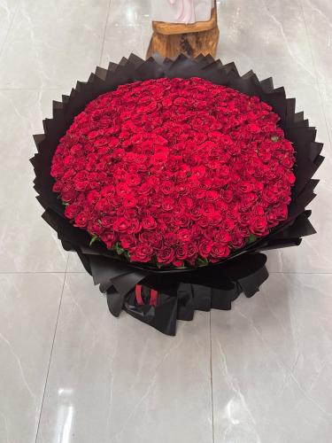 ورد طبيعي 300 حبه جوري كيني