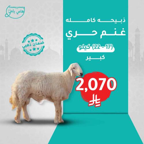 ذبيحه حري كامله (كبير)