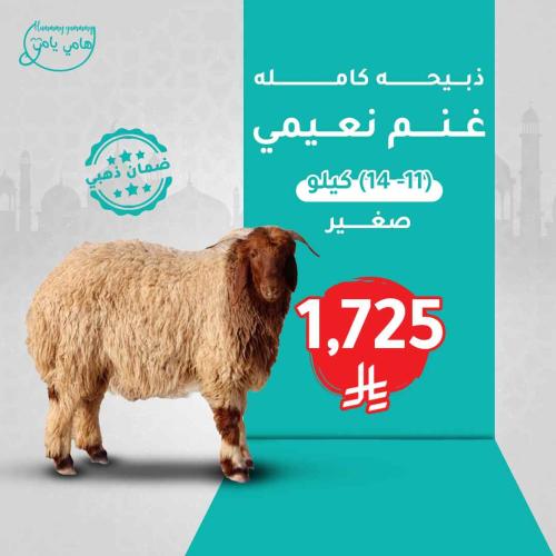 غنم نعيمي طازج ( صغير )