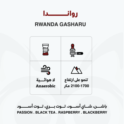 رواندا غاشارو - Rawanda Gasharo