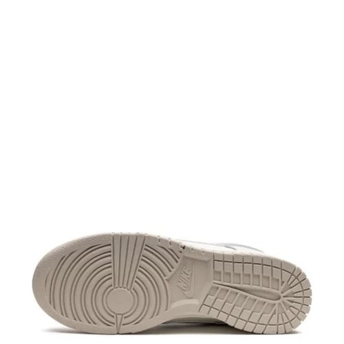 Nike Dunk Low ESS Trend sneakers