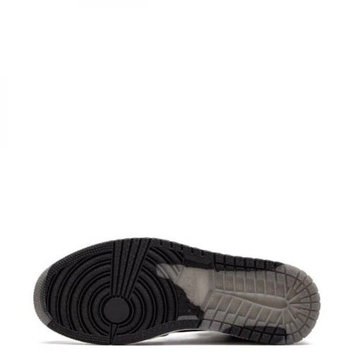 Air jordan 1 element "gore-tex"