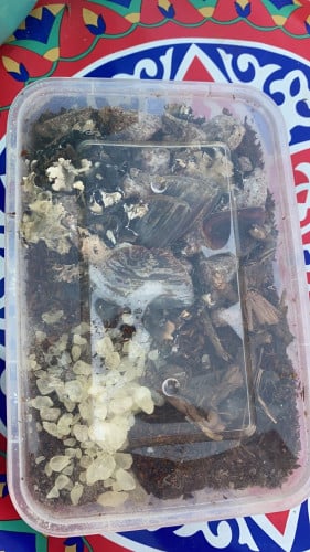 بخور جاوى مجمع جنوبي