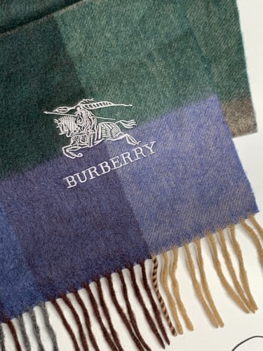 بيربري تركوازي