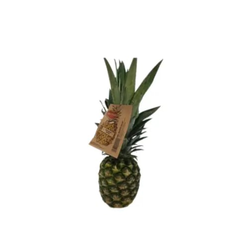 قطعة اناناس حبة