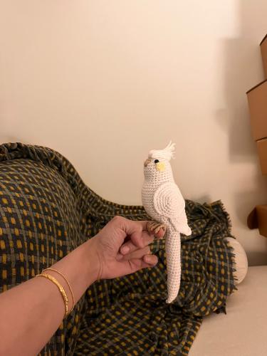 Bird 02