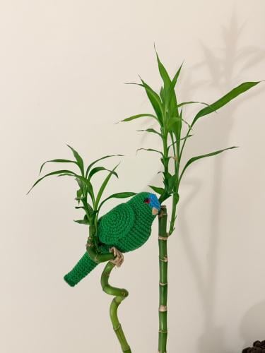Bird 03