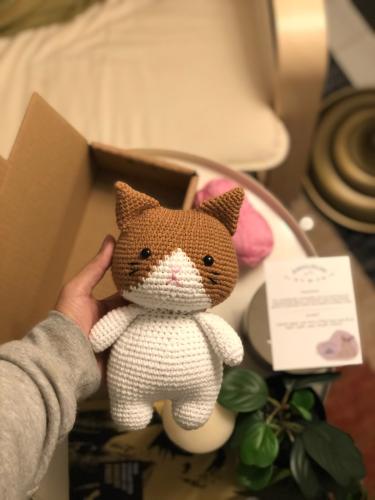 Cute Kitty Plush 01