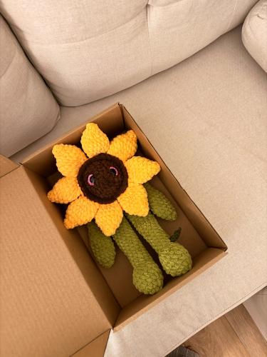Floppy Sunflower