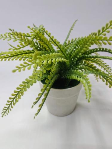 Tabletop Artificial Bushy Fern in White Planter نب...