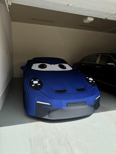 سيارة داخلي فني