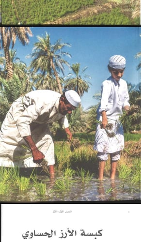 سفرة المائدة السعودية