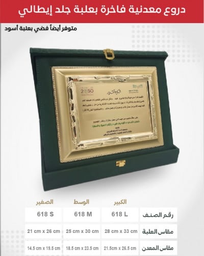 درع معدني فاخر بعلبة جلد ايطالي