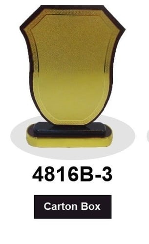 درع خشبي مدرسي B3