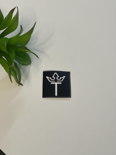 طبعة تاتو حرفT