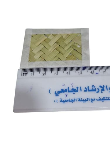 20 قطعة سعف النخيل | خوص | حصير طبيعية | صغيرة 4x6...