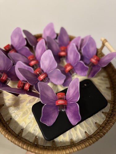 فراشات الزعفران