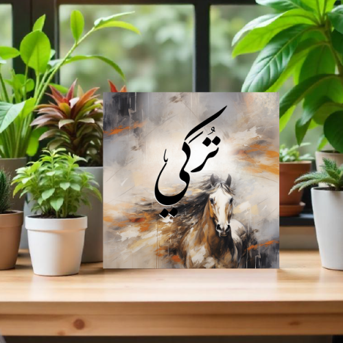 لوحة باسم تركي