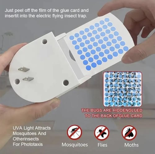 مصيدة حشرات + 20 لوح غراء مجاني