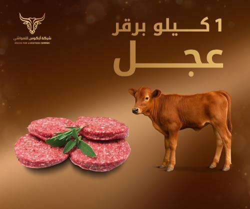 1 kilogram beef burger