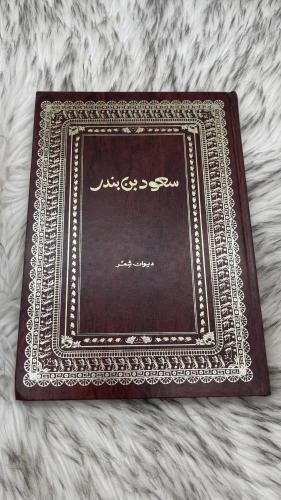 ديوان سعود بن بندر الجلد