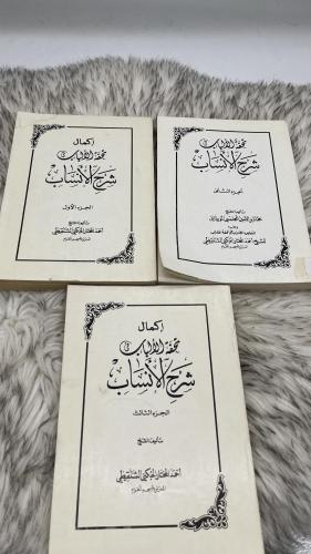 تحفة الألباب في شرح الأنساب وعليه التعليق الصواب ع...