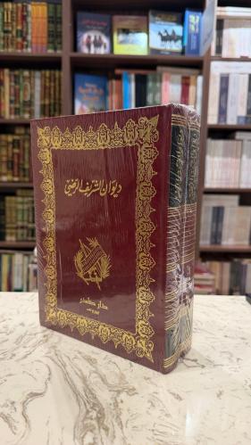ديوان الشريف الرضي جزئين