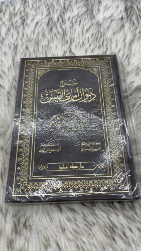 شرح ديوان امرئ القيس