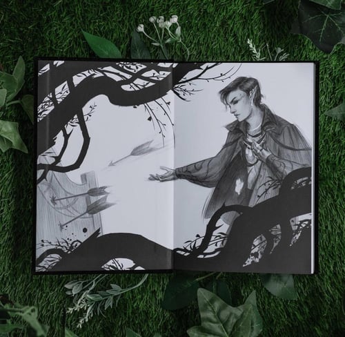 The Wicked King-Holly Black Deluxe Edition
