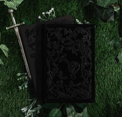 The Wicked King-Holly Black Deluxe Edition