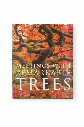 MEETINGS WITH REMARKABLE TREES - 71064