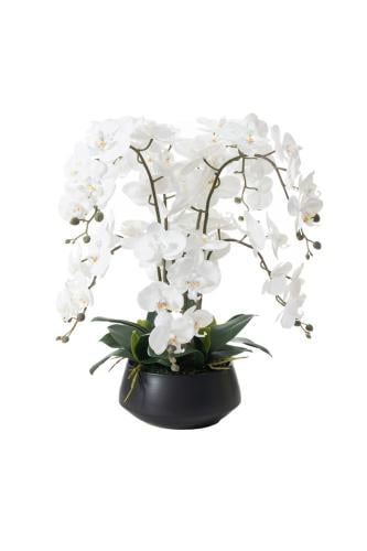 White Artificial Orchid - Small - 70683