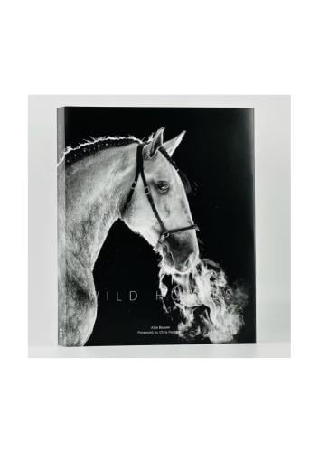 WILD HORSES - 71072