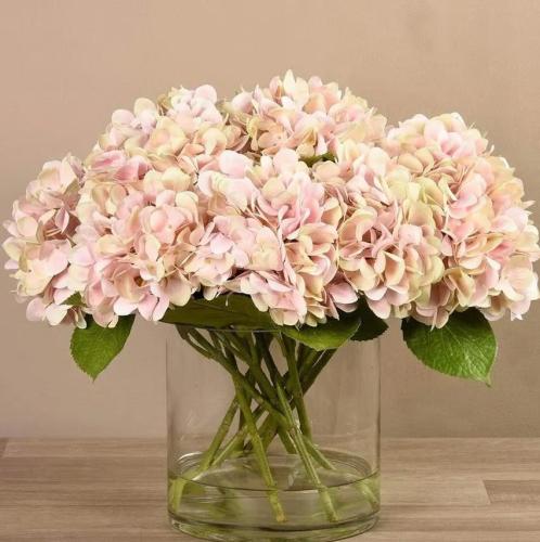 Hydrangea in glass vase - 70782