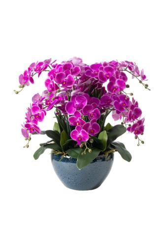 Fuji Large Artificial Orchid - 70684