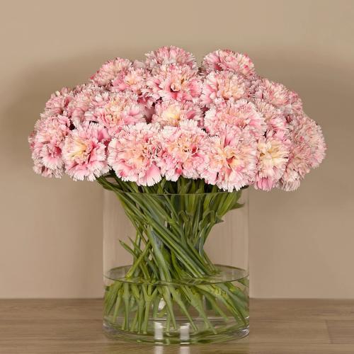 Carnation Arrangement in Glass Vase Large pink - 7...