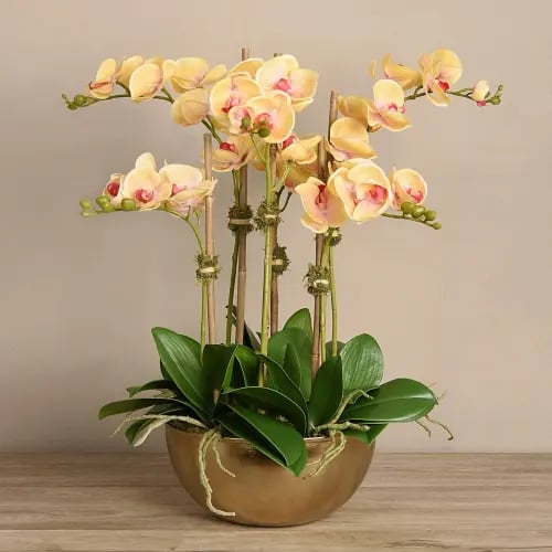 Artificial Orchid Arrangement - 70532
