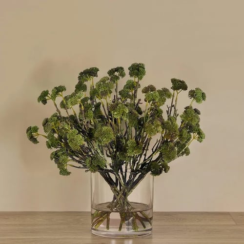 Sedum Arrangement in Glass Vase - 71343