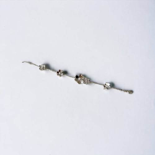 اسواره فضيه من فان كليف