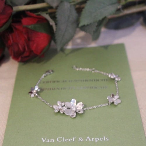 اسواره فضيه من فان كليف