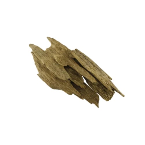 ماليزي سرواك