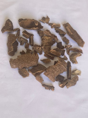 بورمي بوتان