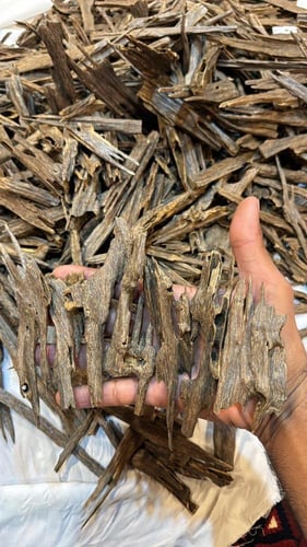 هندي نجلاند ملكي خاص